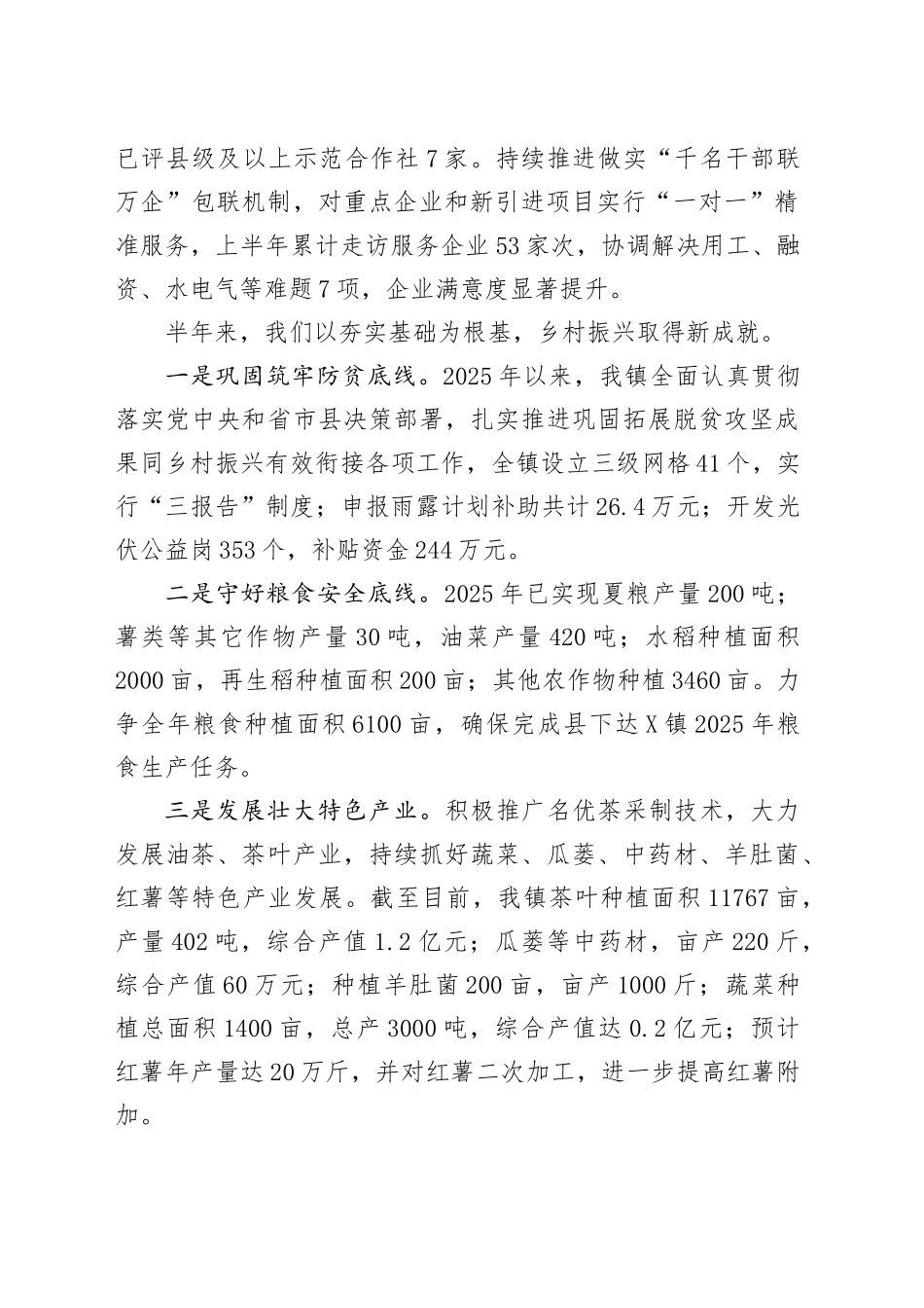 X镇2025年上半年工作总结_第2页