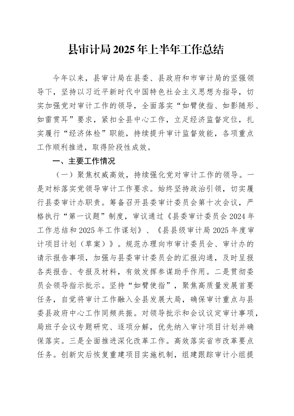县审计局2025年上半年工作总结_第1页