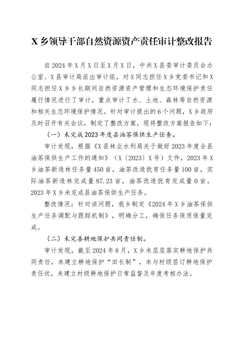 X乡领导干部自然资源资产责任审计整改报告_第1页
