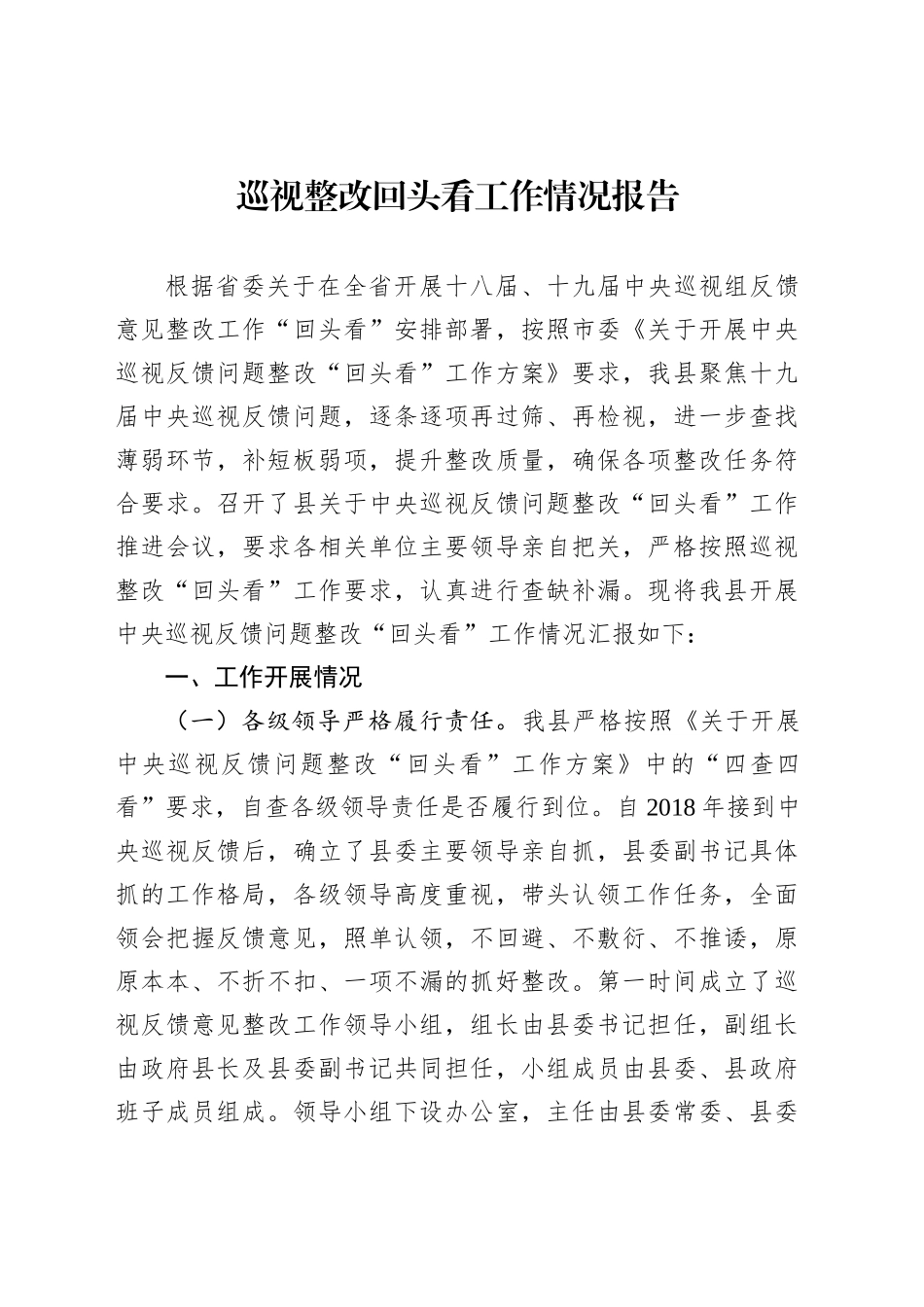 巡视整改回头看工作情况报告汇编（10篇）_第2页