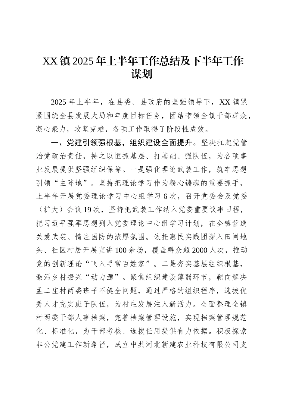 XX镇2025年上半年工作总结及下半年工作谋划_第1页