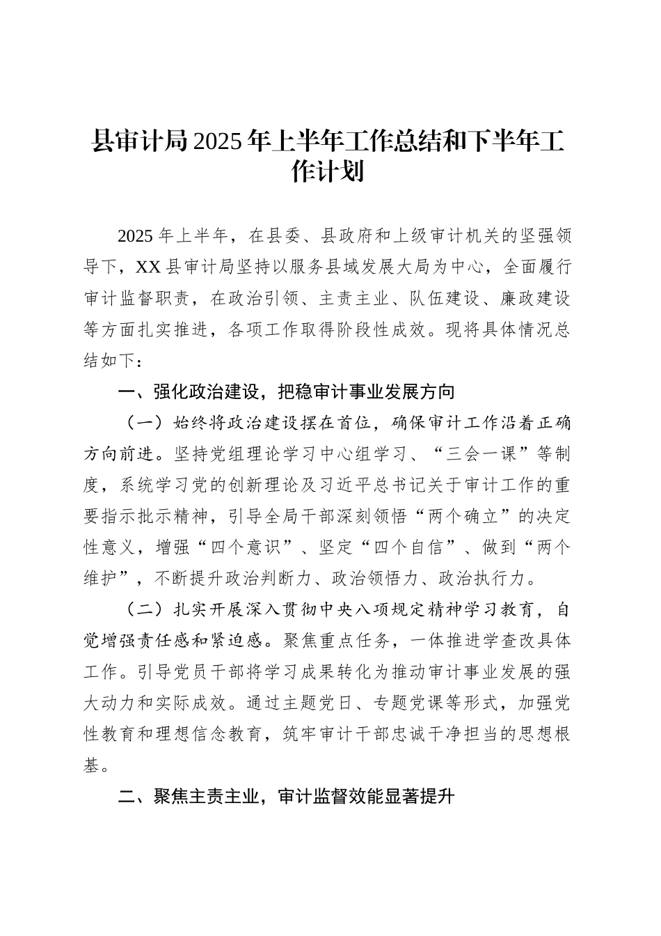 县审计局2025年上半年工作总结和下半年工作计划_第1页