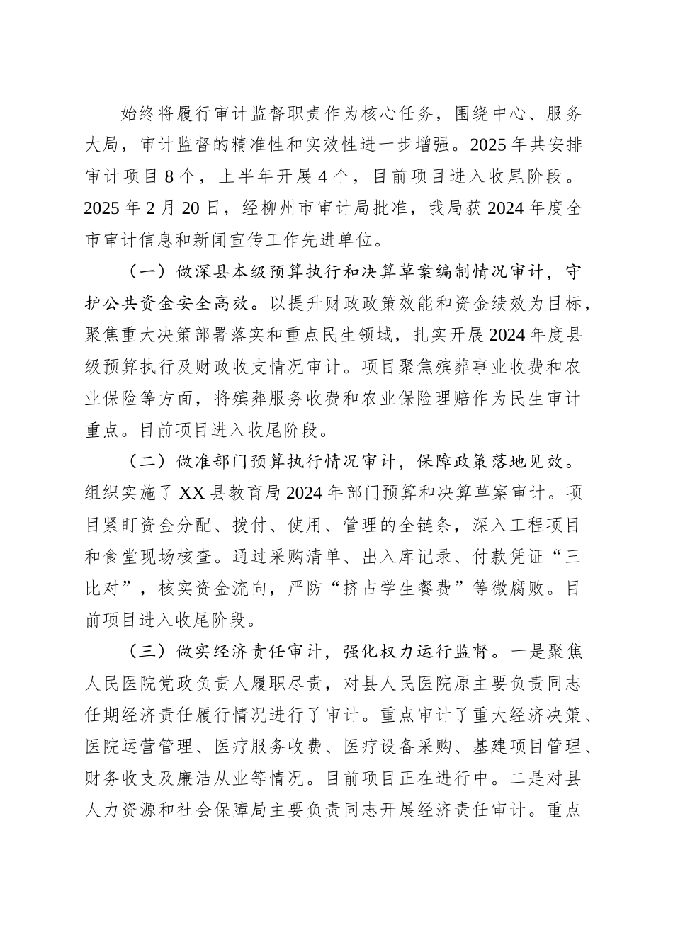 县审计局2025年上半年工作总结和下半年工作计划_第2页