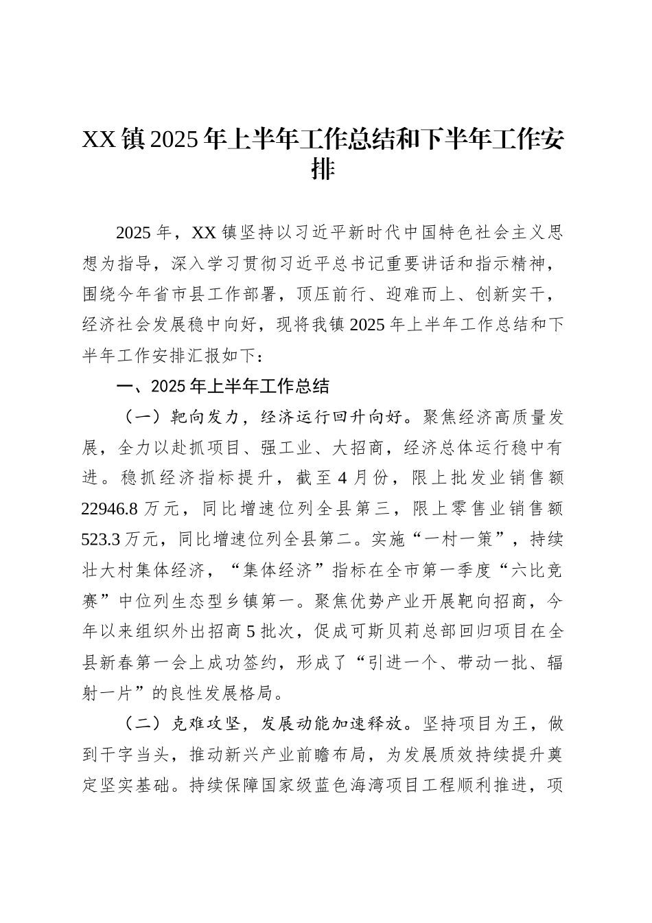 XX镇2025年上半年工作总结和下半年工作安排_第1页