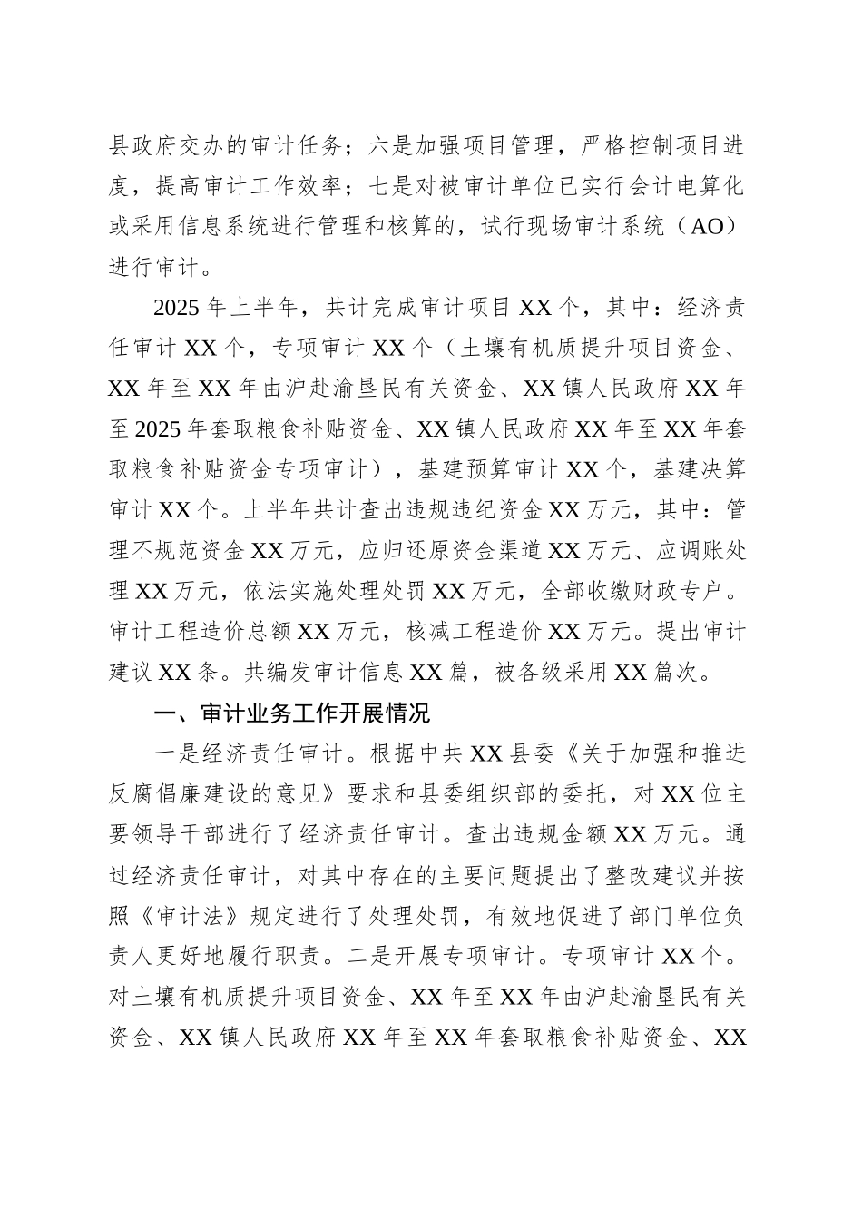 县审计局2025年上半年工作总结和下半年工作打算_第2页