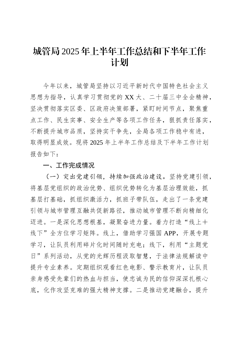 城管局2025年上半年工作总结和下半年工作计划_第1页