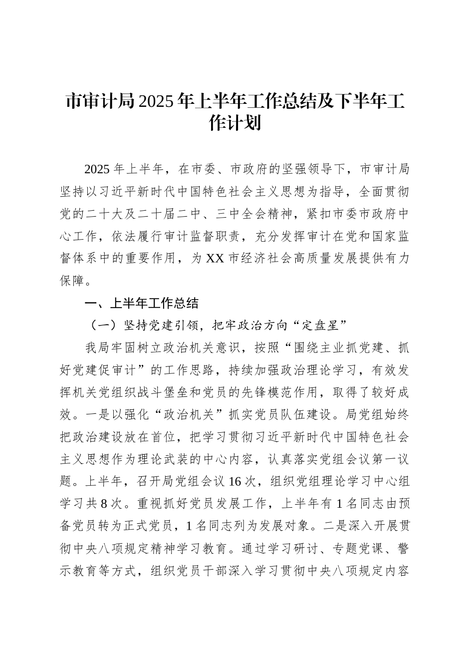 市审计局2025年上半年工作总结及下半年工作计划_第1页