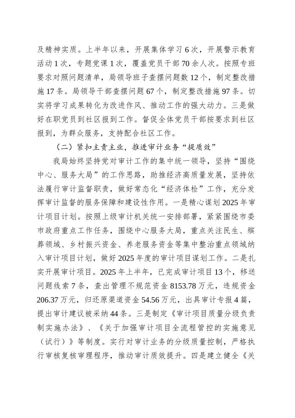 市审计局2025年上半年工作总结及下半年工作计划_第2页