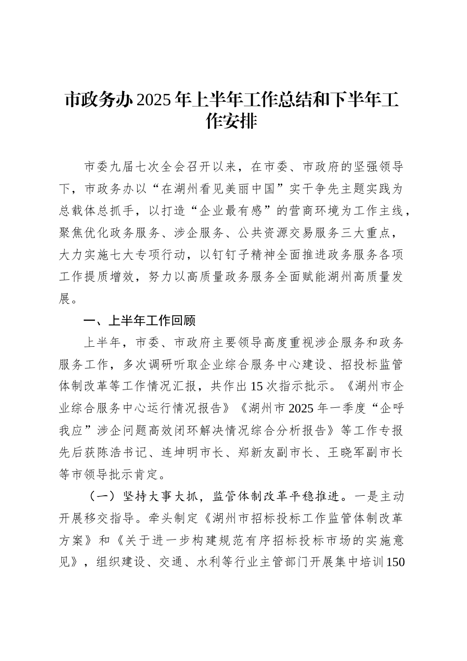 市政务办2025年上半年工作总结和下半年工作安排_第1页