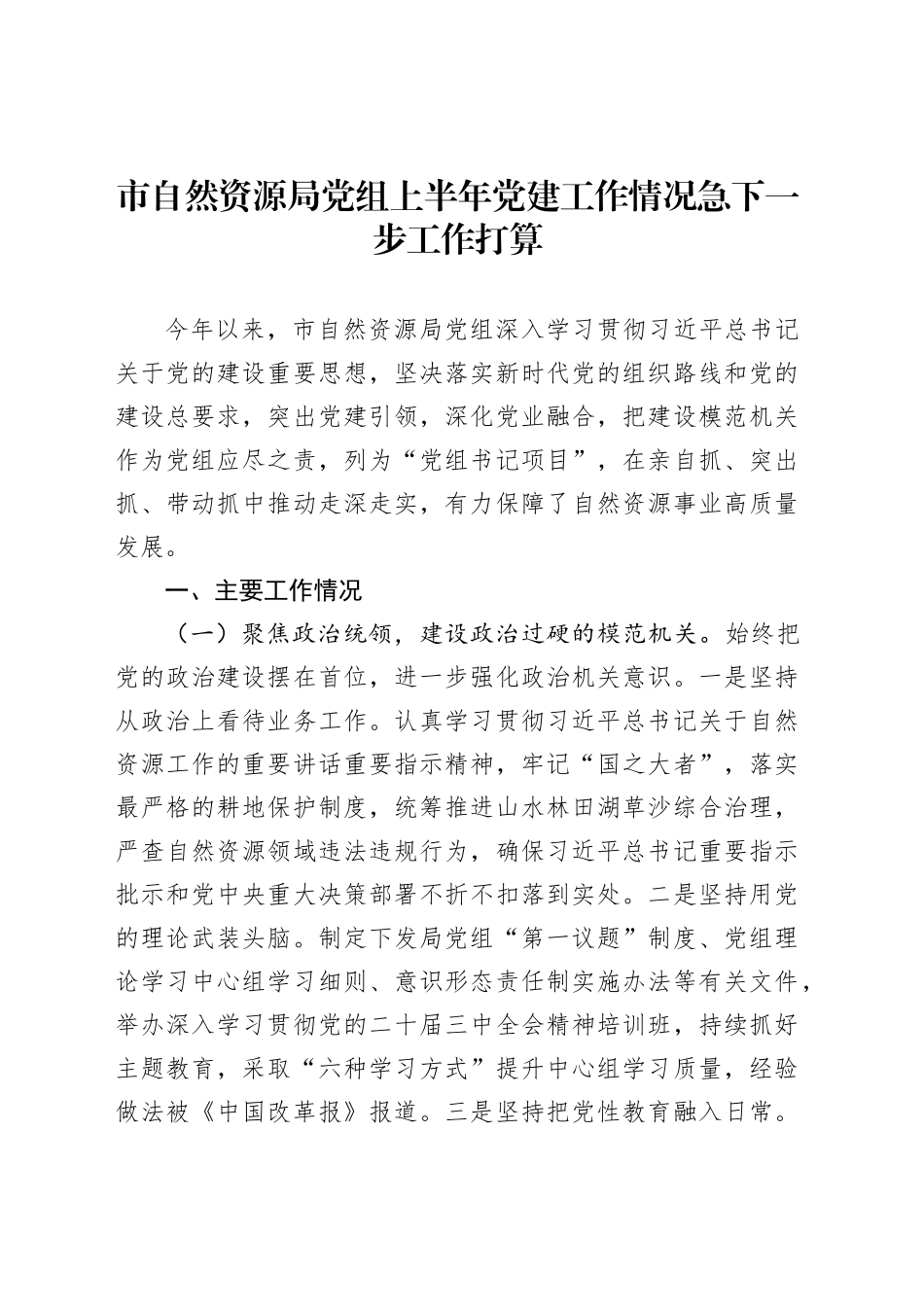 市自然资源局党组上半年党建工作情况急下一步工作打算_第1页