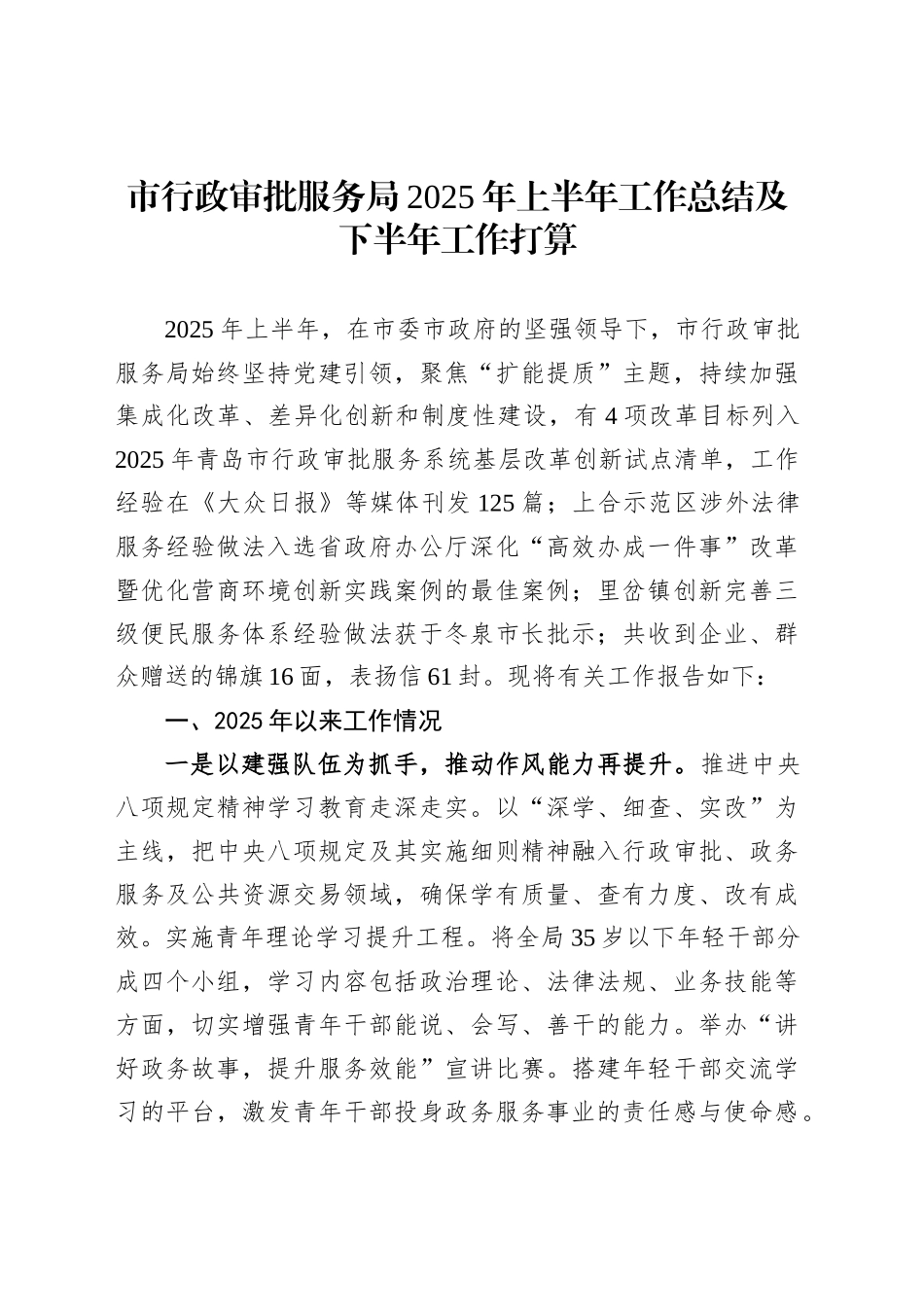 市行政审批服务局2025年上半年工作总结及下半年工作打算_第1页