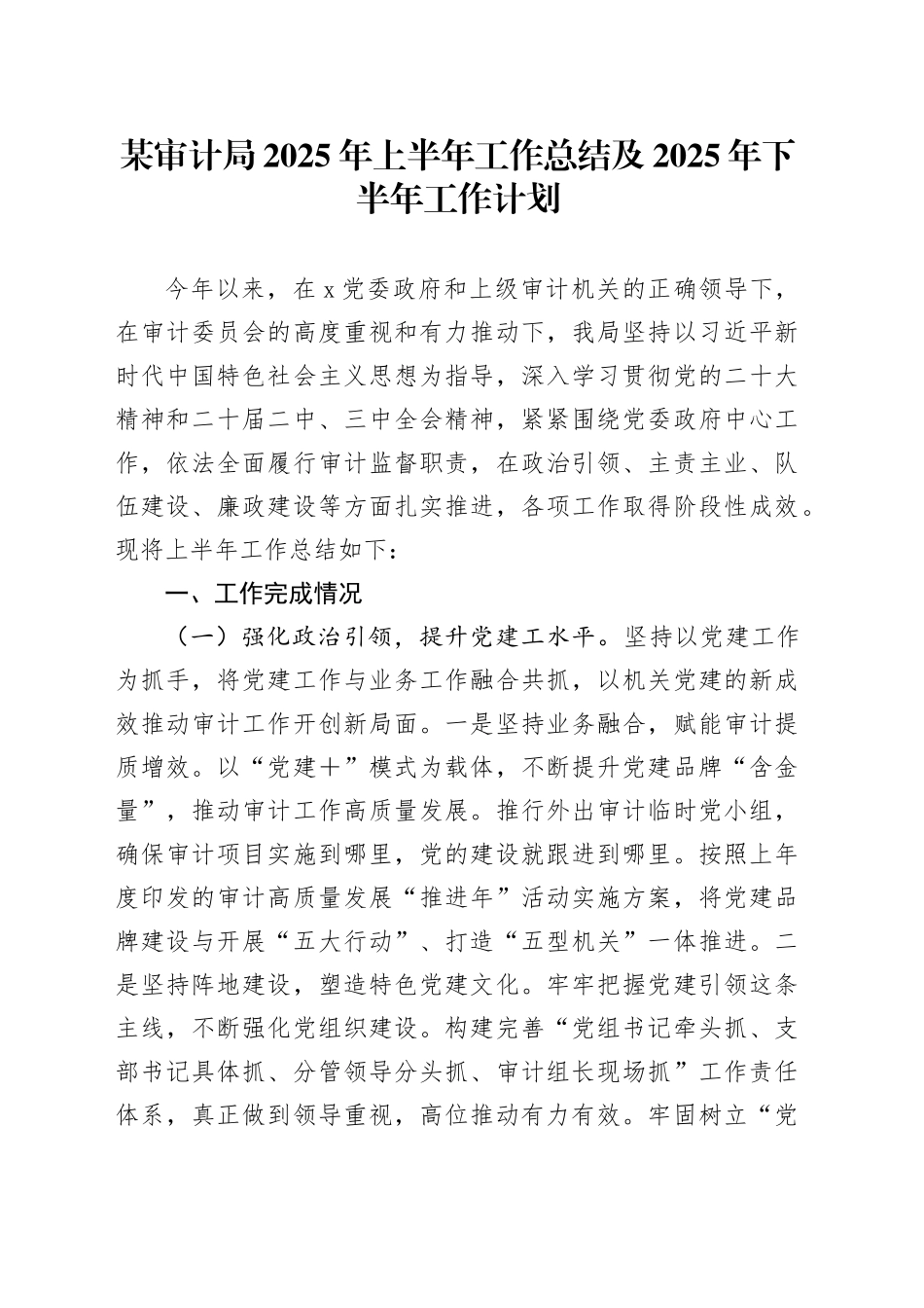 某审计局2025年上半年工作总结及2025年下半年工作计划_第1页