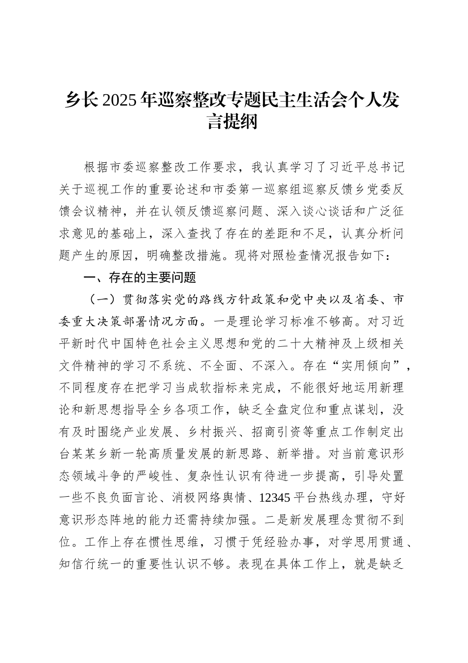 乡长2025年巡察整改专题民主生活会个人发言提纲_第1页