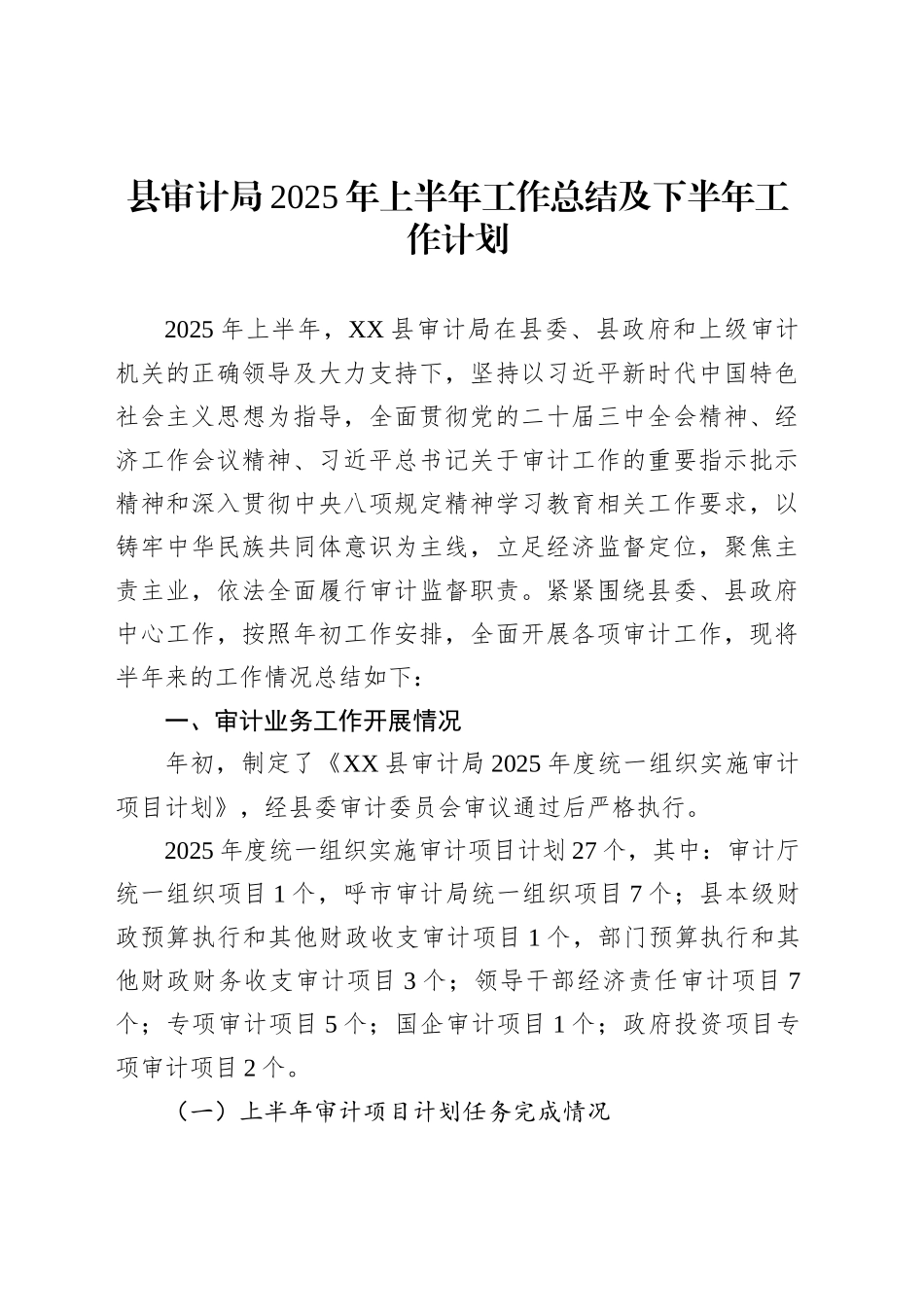 县审计局2025年上半年工作总结及下半年工作计划_第1页
