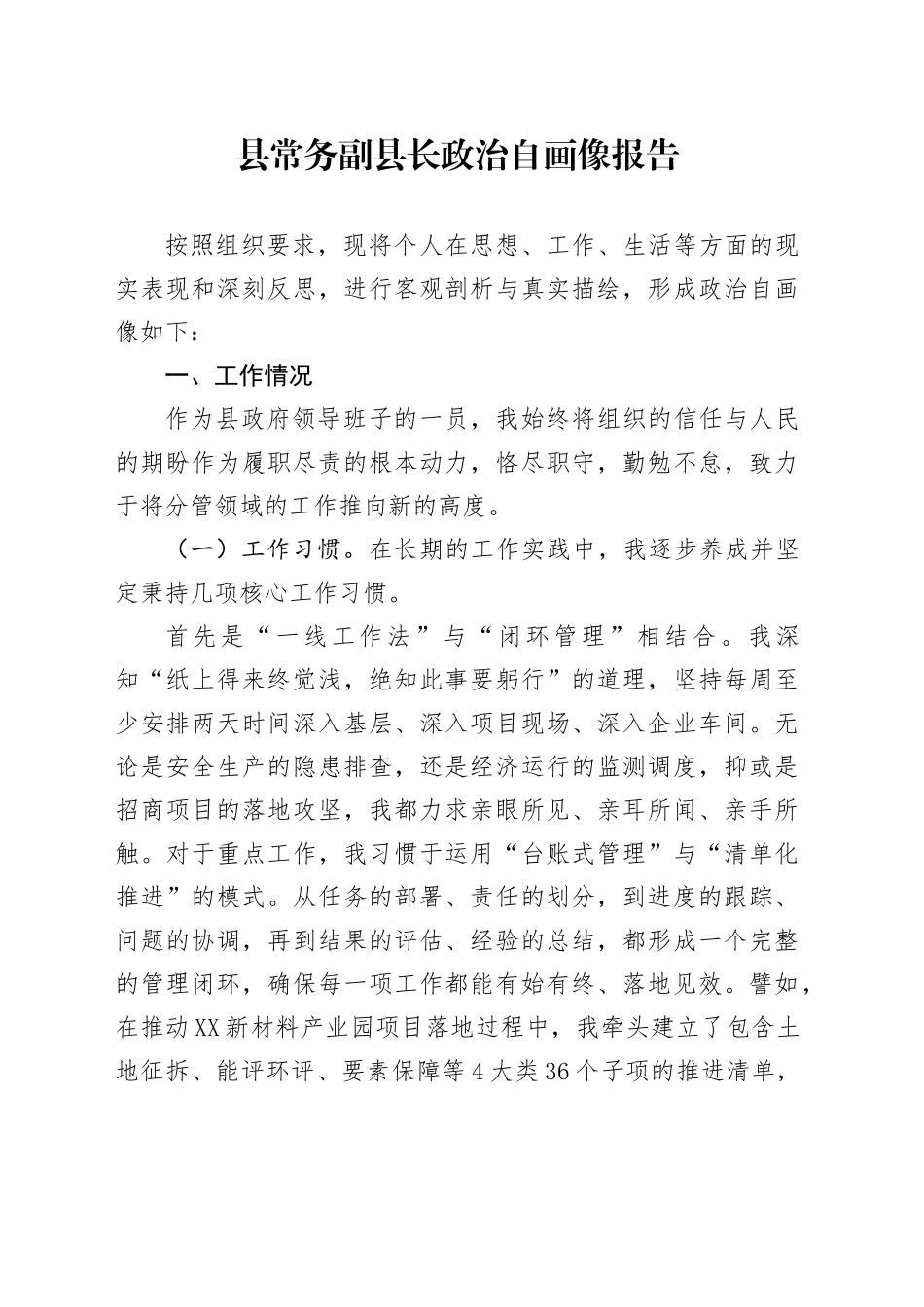 县常务副县长政治自画像报告_第1页
