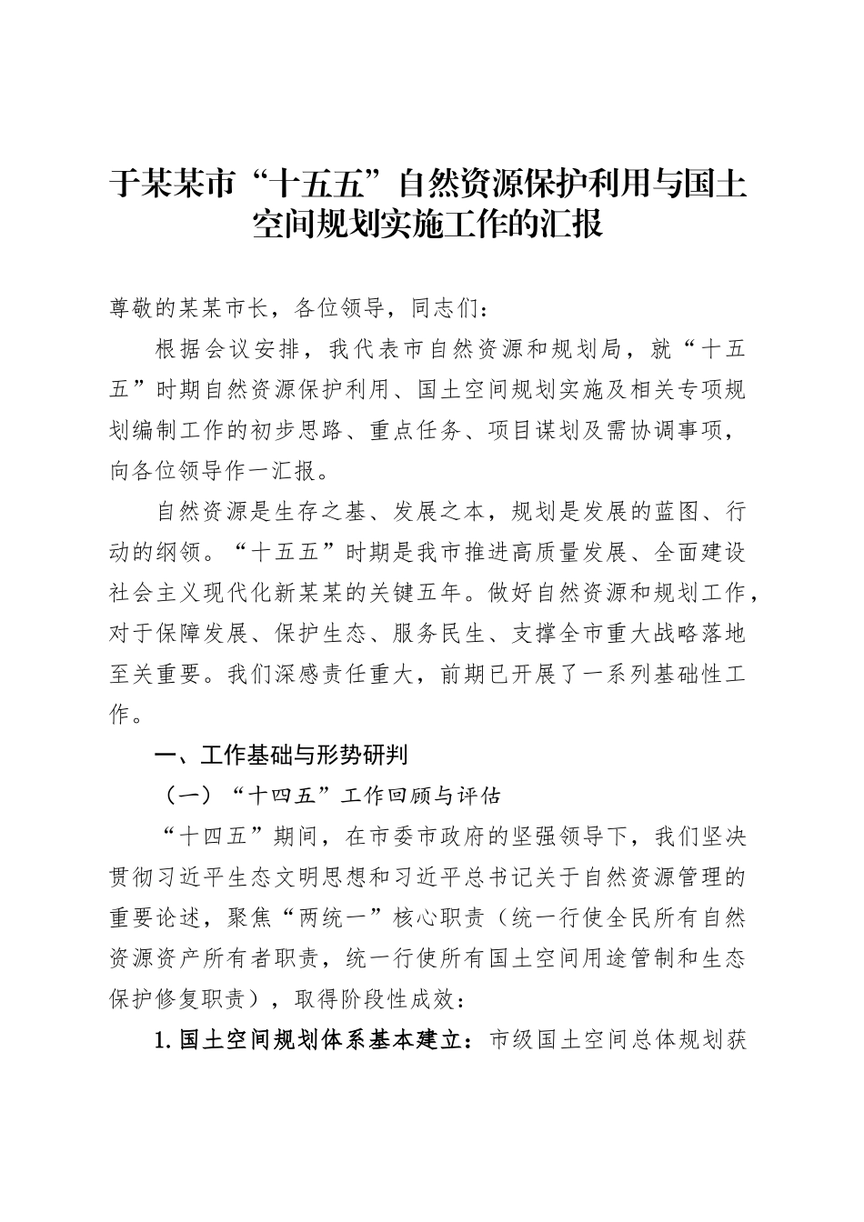 于某某市“十五五”自然资源保护利用与国土空间规划实施工作的汇报_第1页