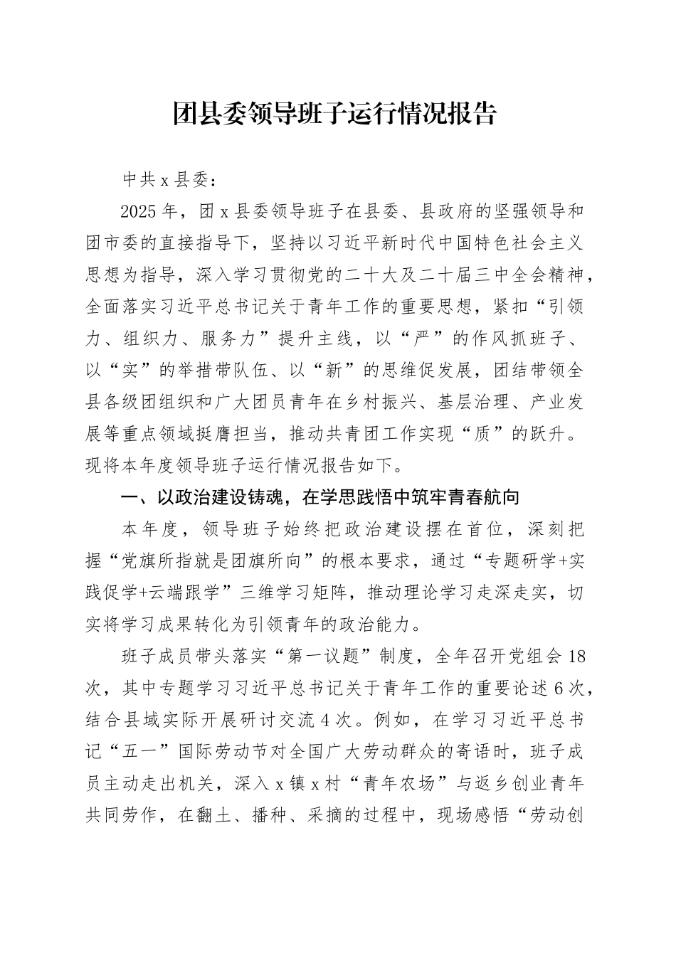 团县委领导班子运行情况报告_第1页
