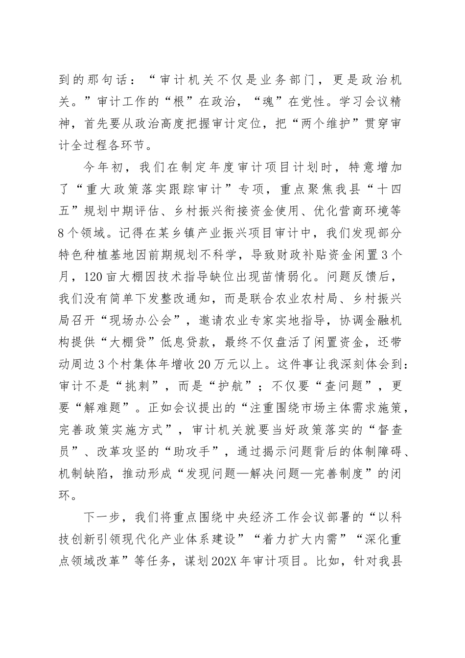 在全县审计系统学习贯彻中央经济工作会议精神专题交流会上的发言_第2页