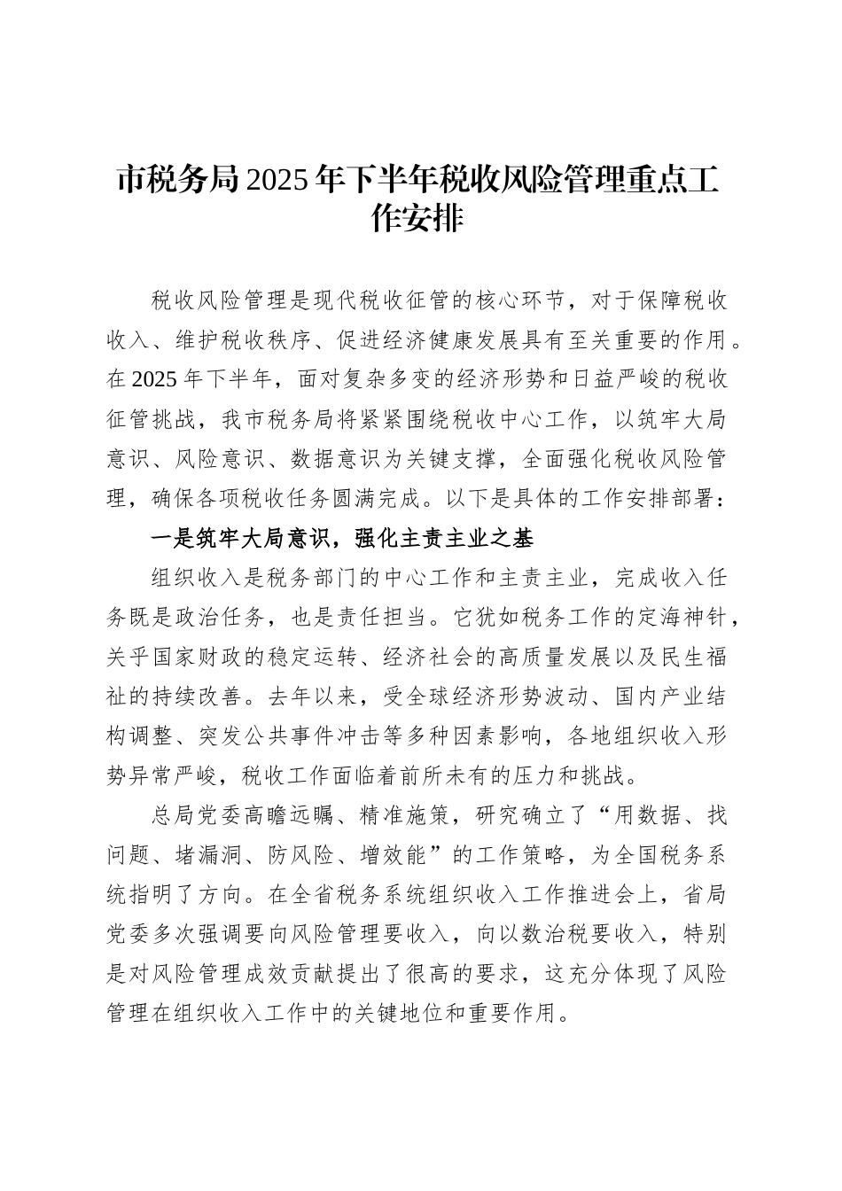 市税务局2025年下半年税收风险管理重点工作安排_第1页