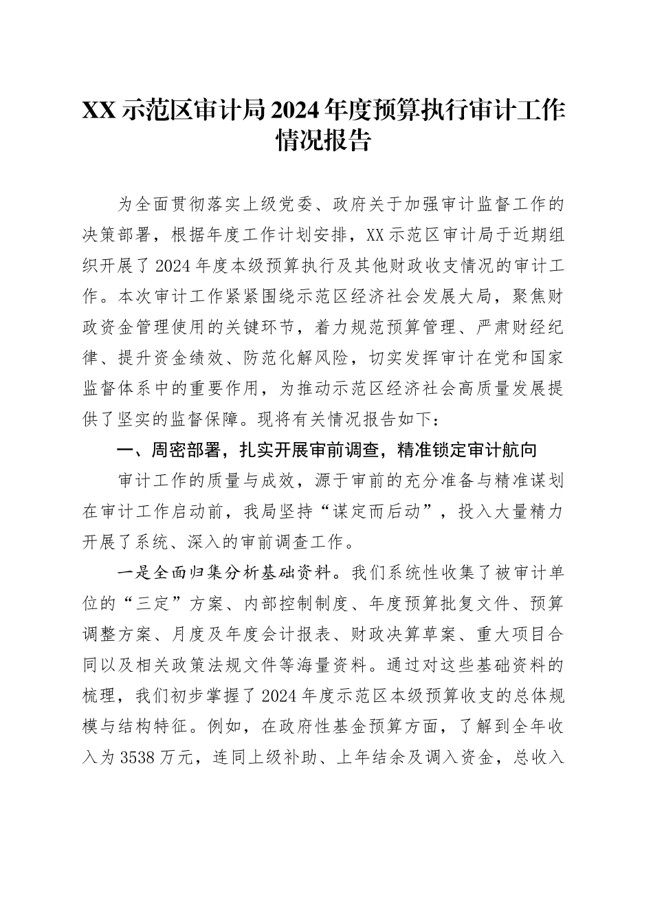 XX示范区审计局2024年度预算执行审计工作情况报告_第1页
