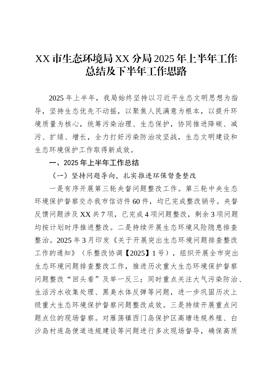 XX市生态环境局XX分局2025年上半年工作总结及下半年工作思路_第1页