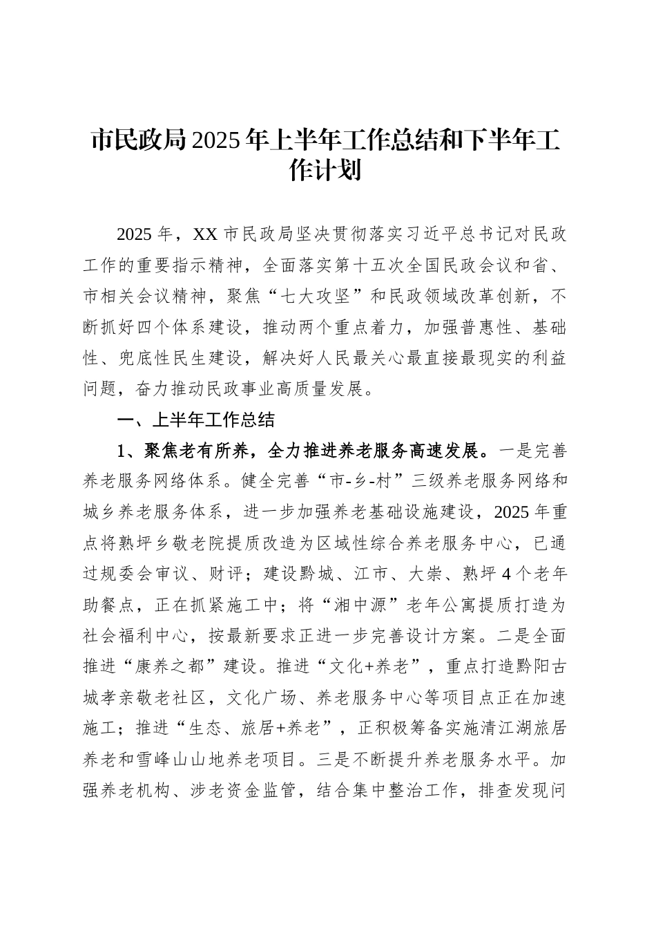 市民政局2025年上半年工作总结和下半年工作计划_第1页