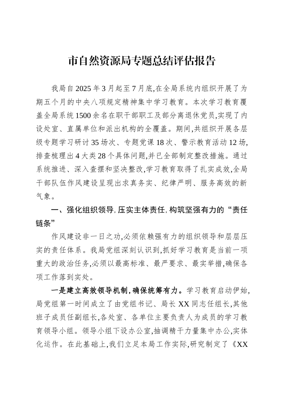 市自然资源局专题总结评估报告_第1页