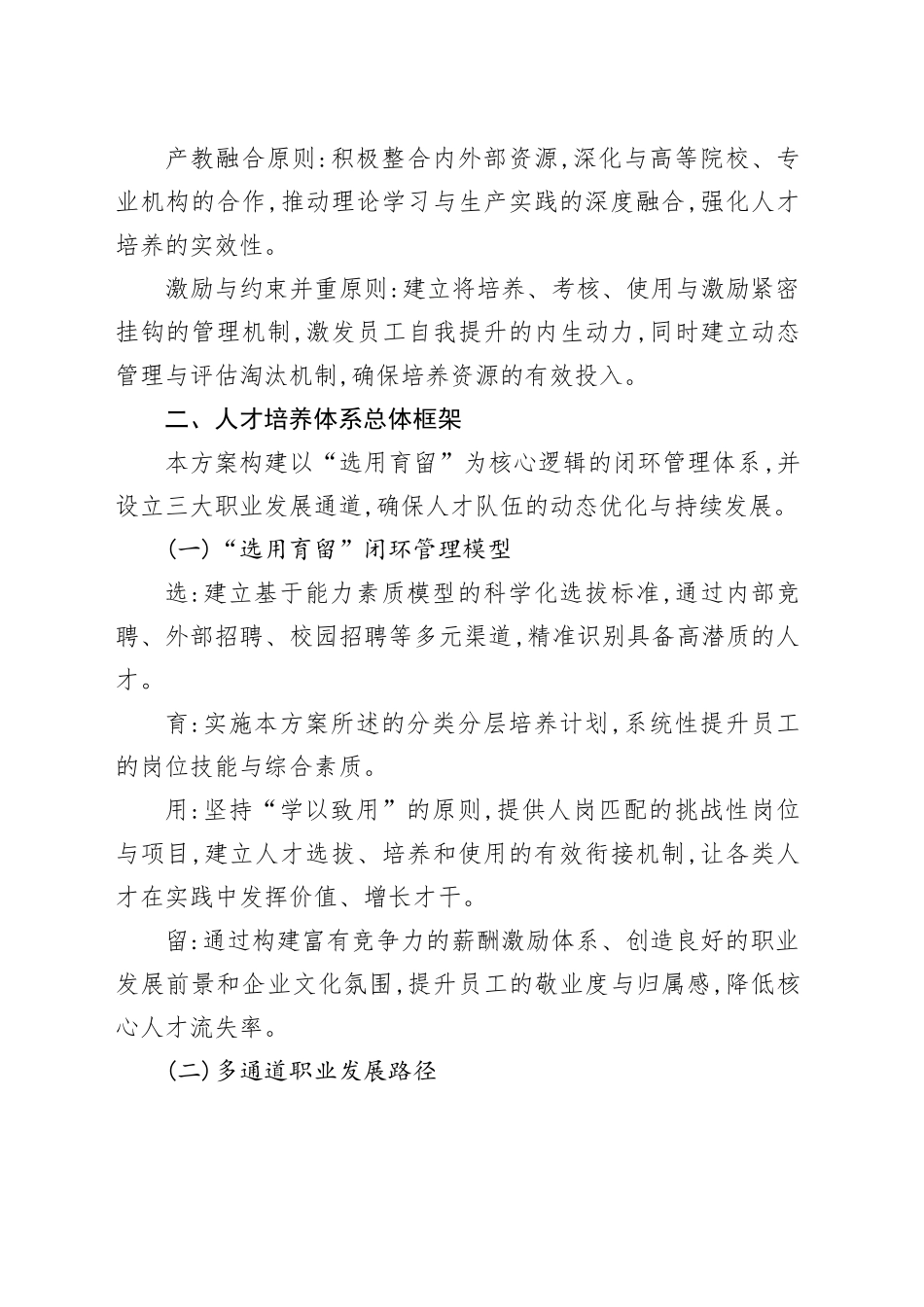 XX公司人才培养体系建设方案_第2页