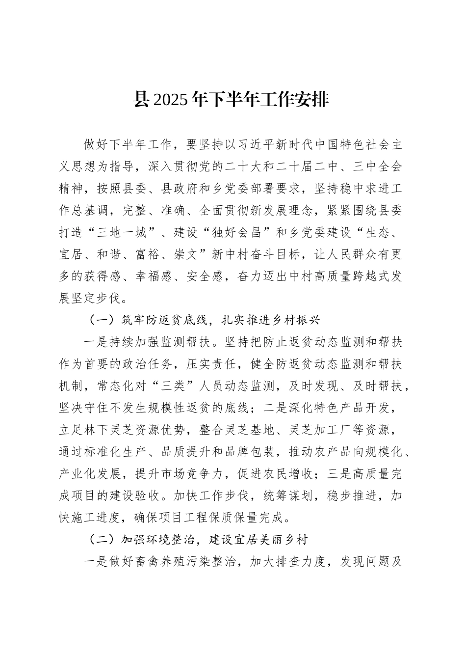 县2025年下半年工作安排_第1页