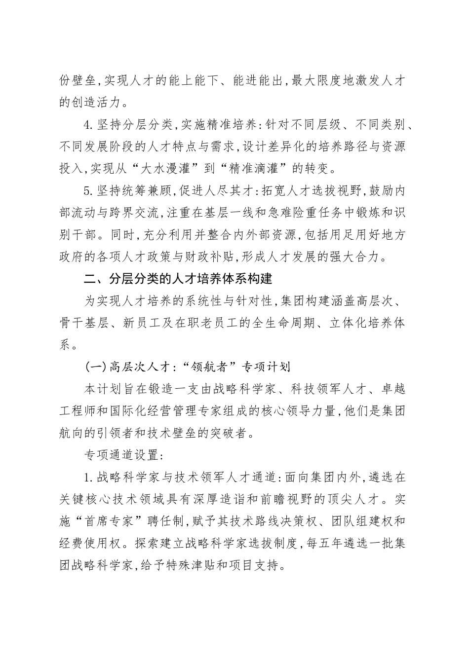 XX集团有限公司人才培养方案_第2页