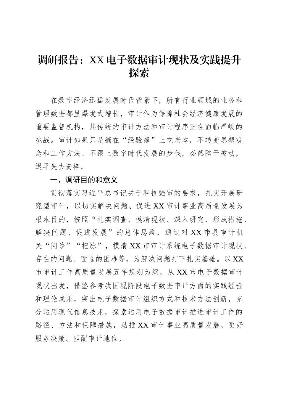 调研报告：XX电子数据审计现状及实践提升探索_第1页
