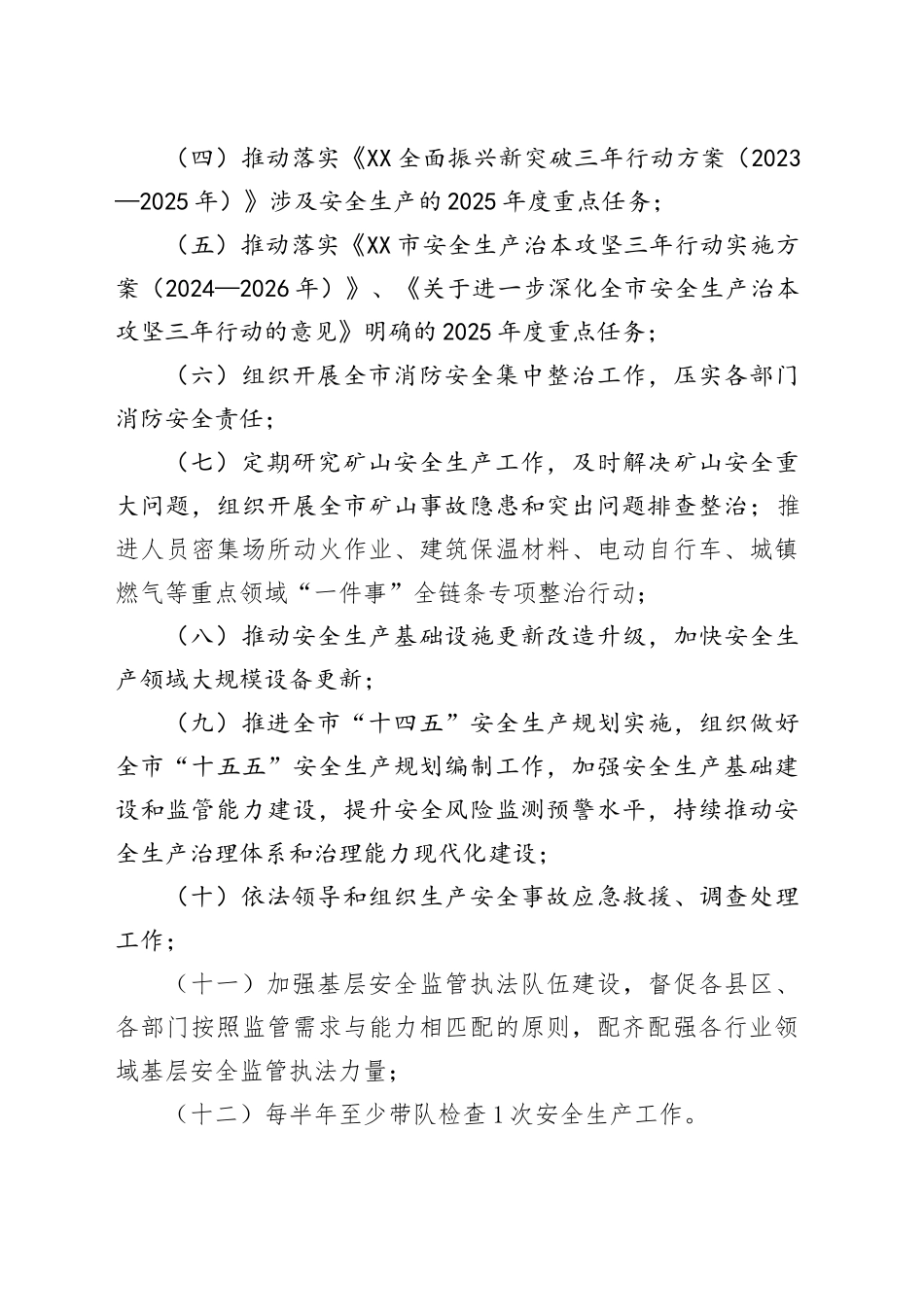市政府领导班子成员2025年度安全生产重点任务清单_第2页