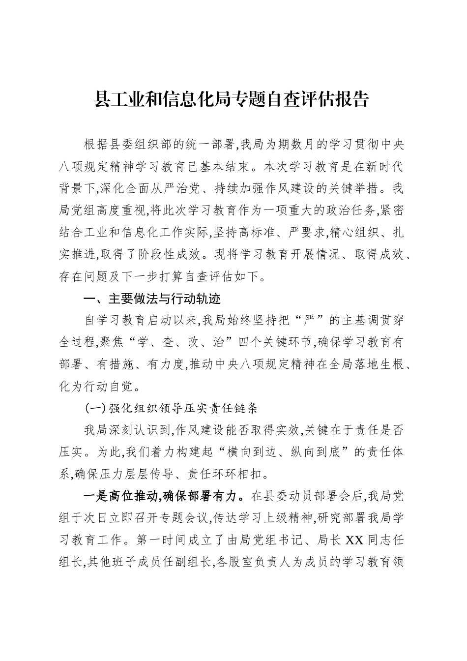县工业和信息化局专题自查评估报告_第1页