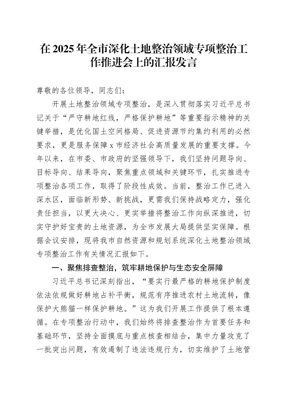 在2025年全市深化土地整治领域专项整治工作推进会上的汇报发言_第1页
